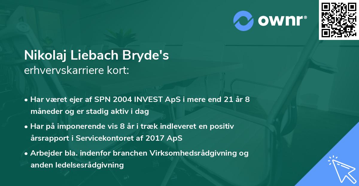 Nikolaj Liebach Bryde's erhvervskarriere kort