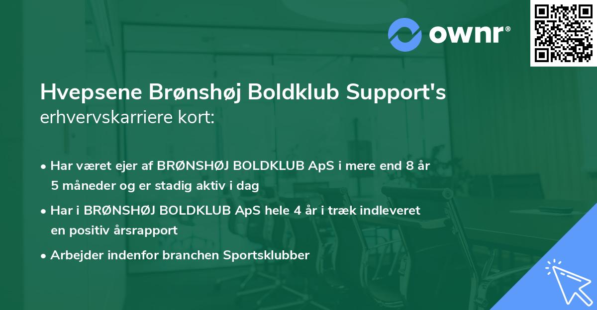 Hvepsene Brønshøj Boldklub Support's erhvervskarriere kort