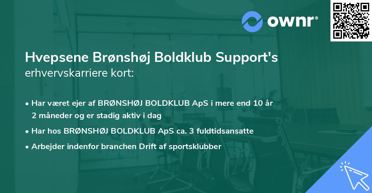 Hvepsene Brønshøj Boldklub Support's erhvervskarriere kort