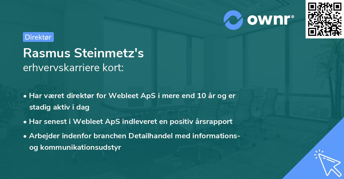 Rasmus Steinmetz's erhvervskarriere kort