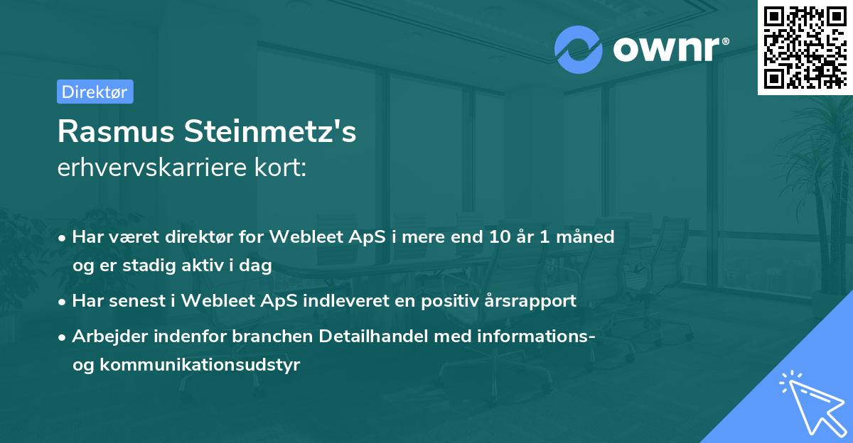 Rasmus Steinmetz's erhvervskarriere kort