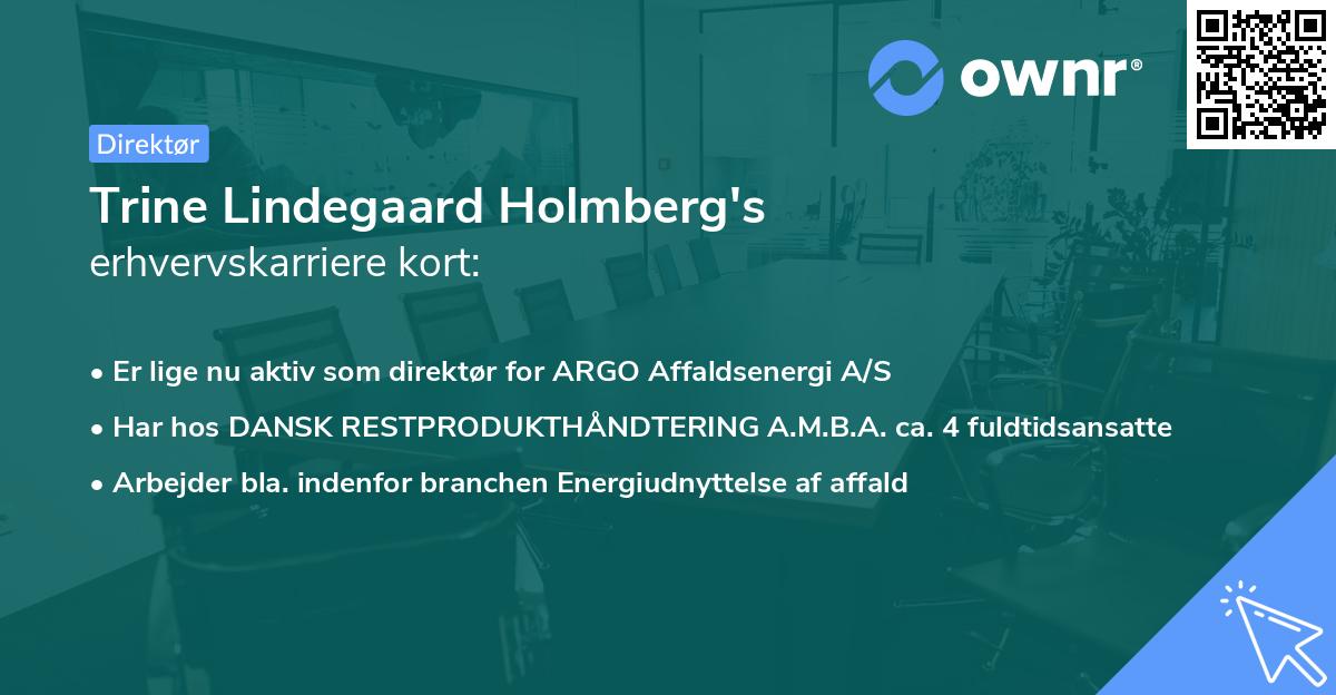 Trine Lindegaard Holmberg's erhvervskarriere kort