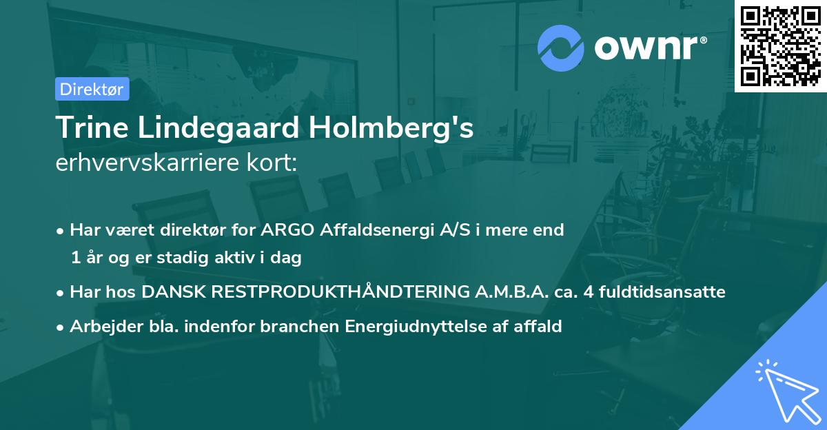 Trine Lindegaard Holmberg's erhvervskarriere kort