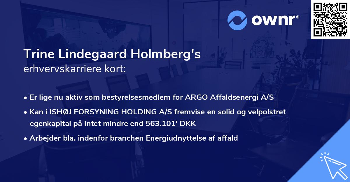 Trine Lindegaard Holmberg's erhvervskarriere kort