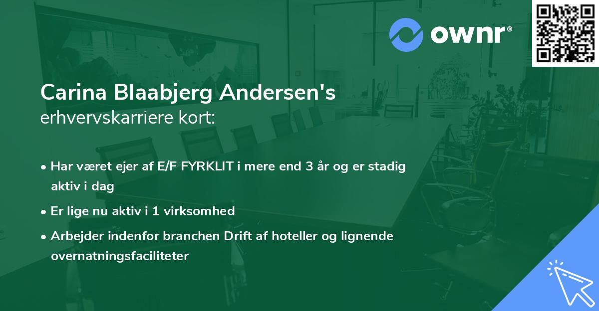 Carina Blaabjerg Andersen's erhvervskarriere kort
