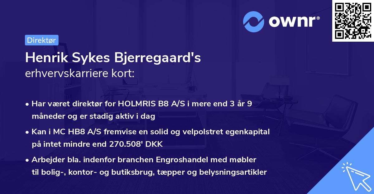 Henrik Sykes Bjerregaard's erhvervskarriere kort
