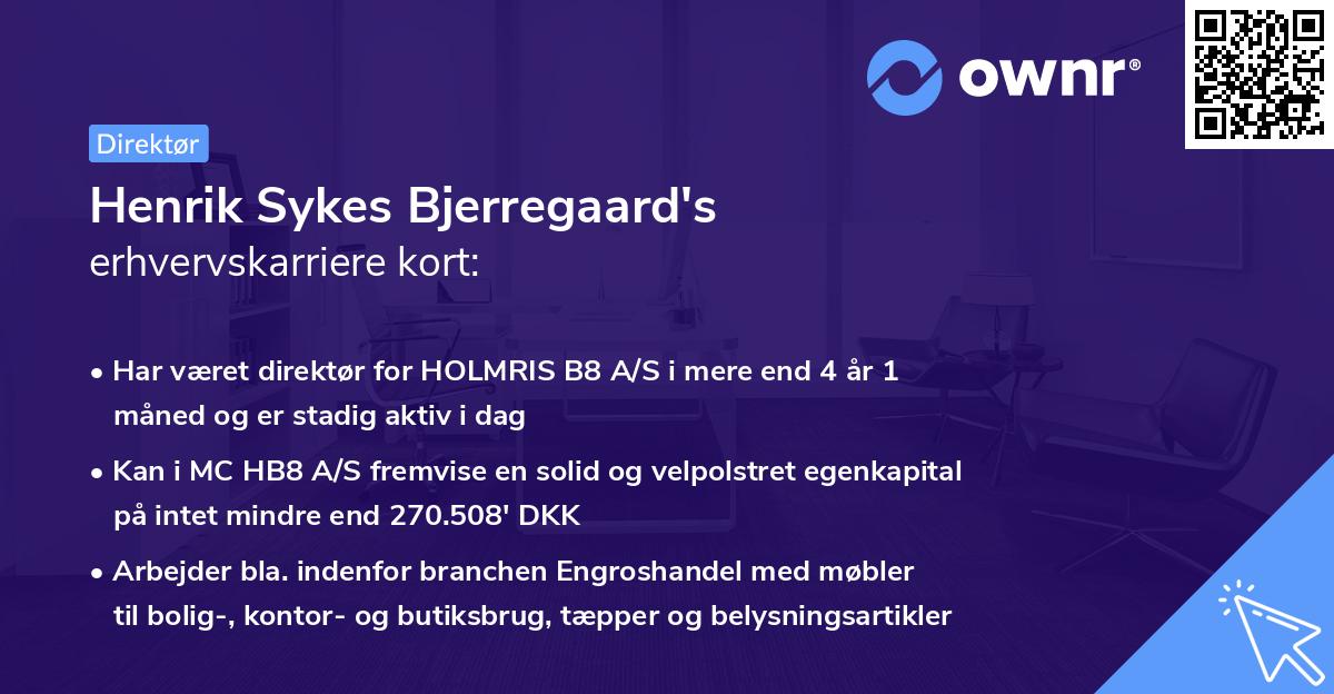 Henrik Sykes Bjerregaard's erhvervskarriere kort