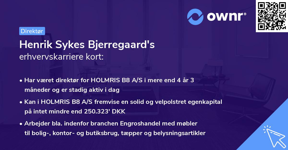Henrik Sykes Bjerregaard's erhvervskarriere kort