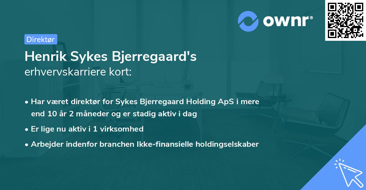 Henrik Sykes Bjerregaard's erhvervskarriere kort