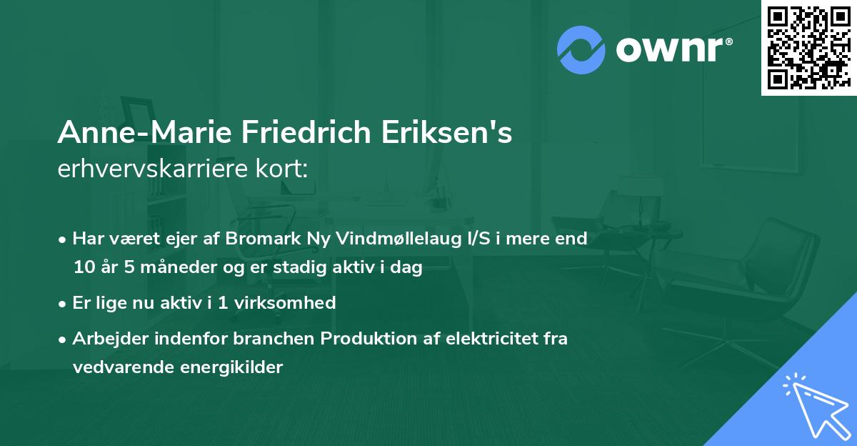 Anne-Marie Friedrich Eriksen's erhvervskarriere kort