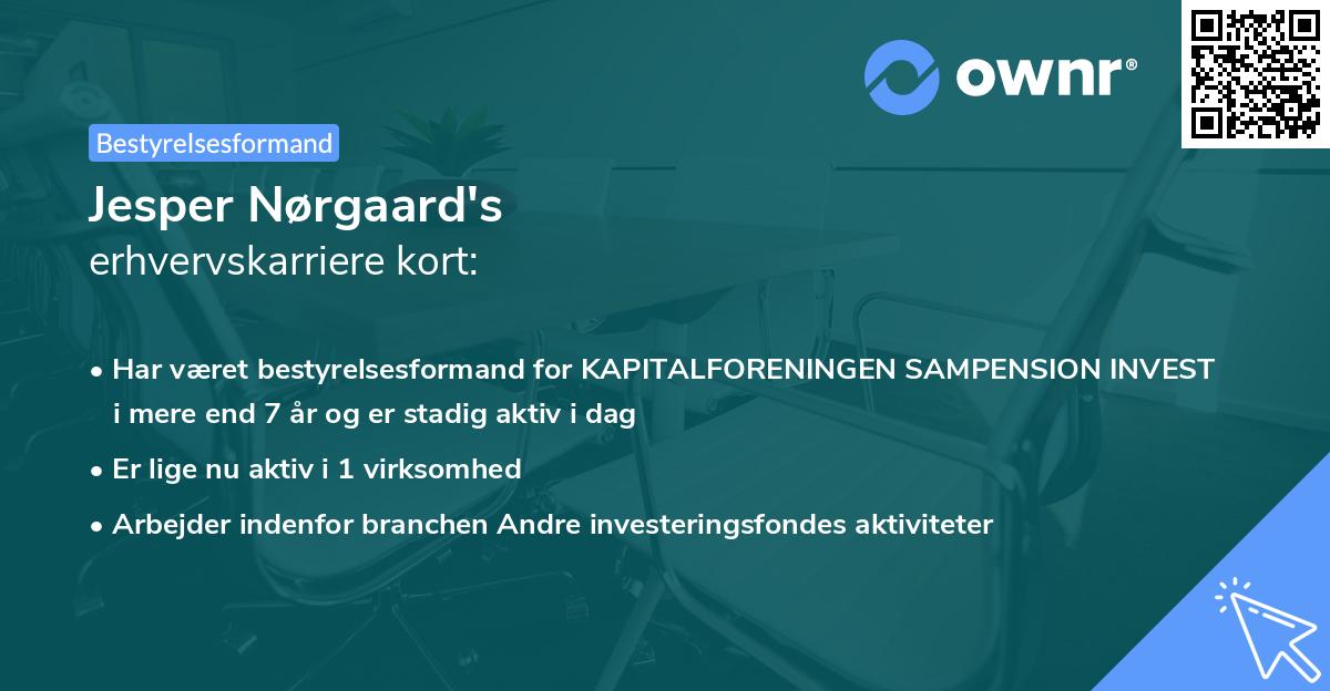 Jesper Nørgaard's erhvervskarriere kort