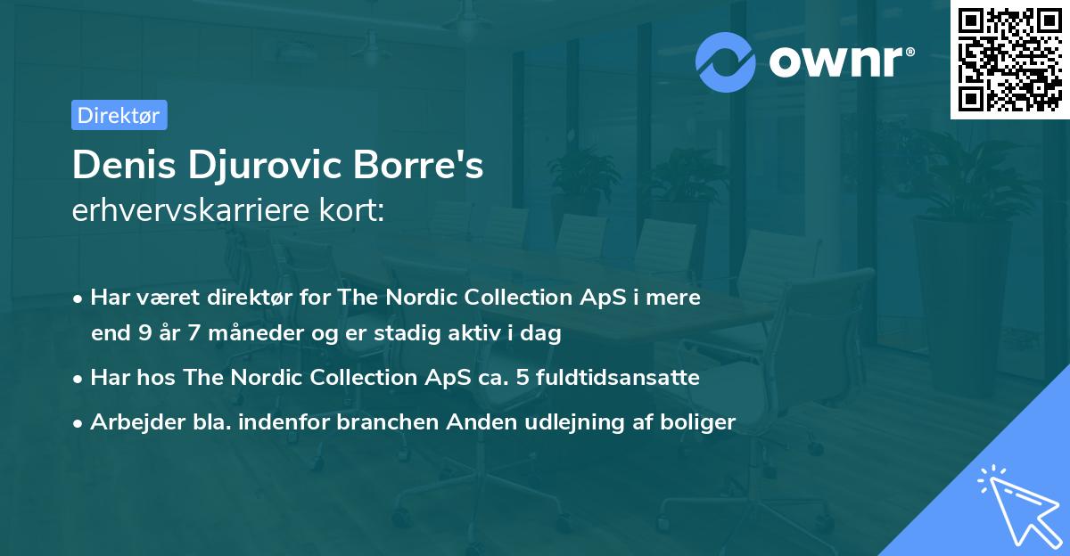Denis Djurovic Borre's erhvervskarriere kort