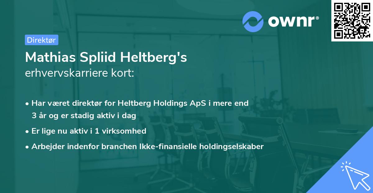 Mathias Spliid Heltberg's erhvervskarriere kort