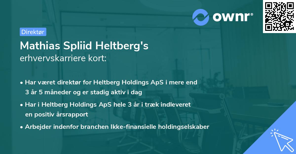 Mathias Spliid Heltberg's erhvervskarriere kort