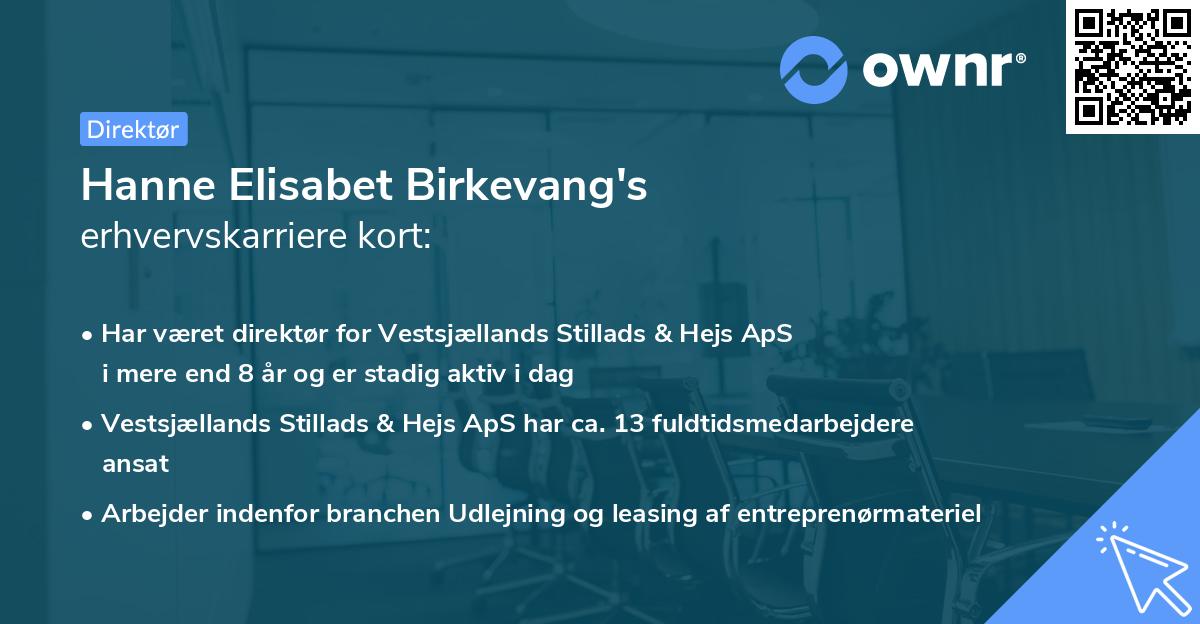 Hanne Elisabet Birkevang's erhvervskarriere kort