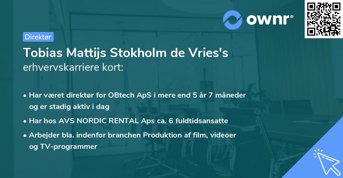 Tobias Mattijs Stokholm de Vries's erhvervskarriere kort