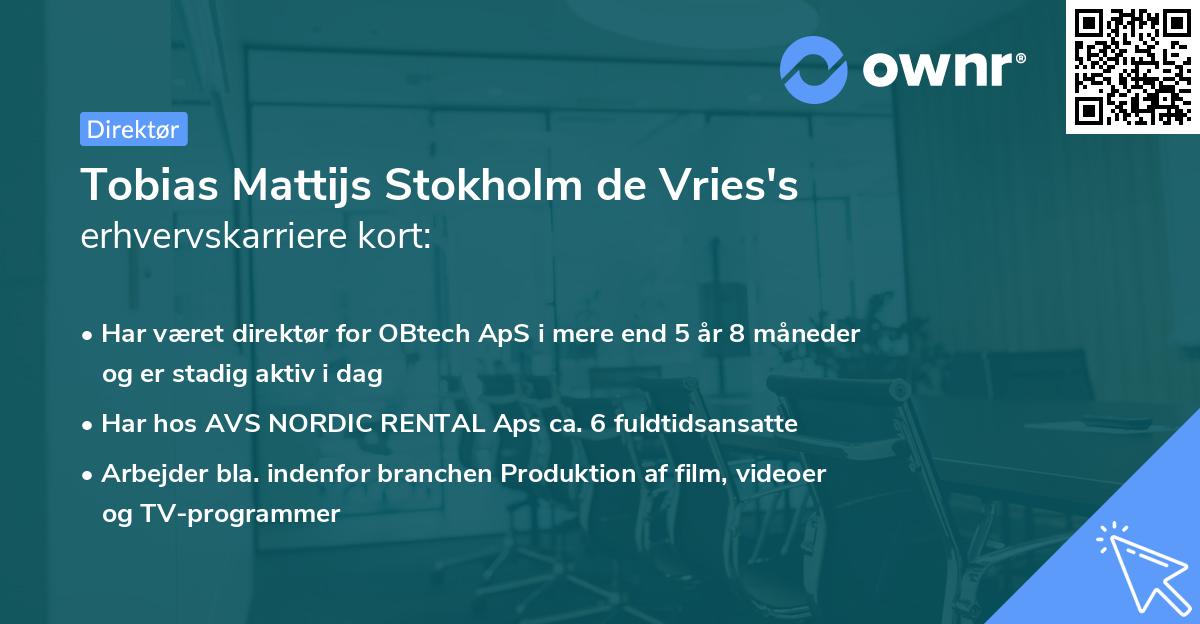 Tobias Mattijs Stokholm de Vries's erhvervskarriere kort
