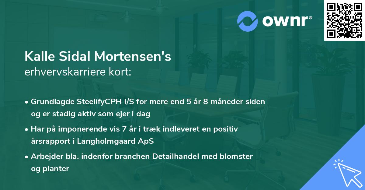 Kalle Sidal Mortensen's erhvervskarriere kort
