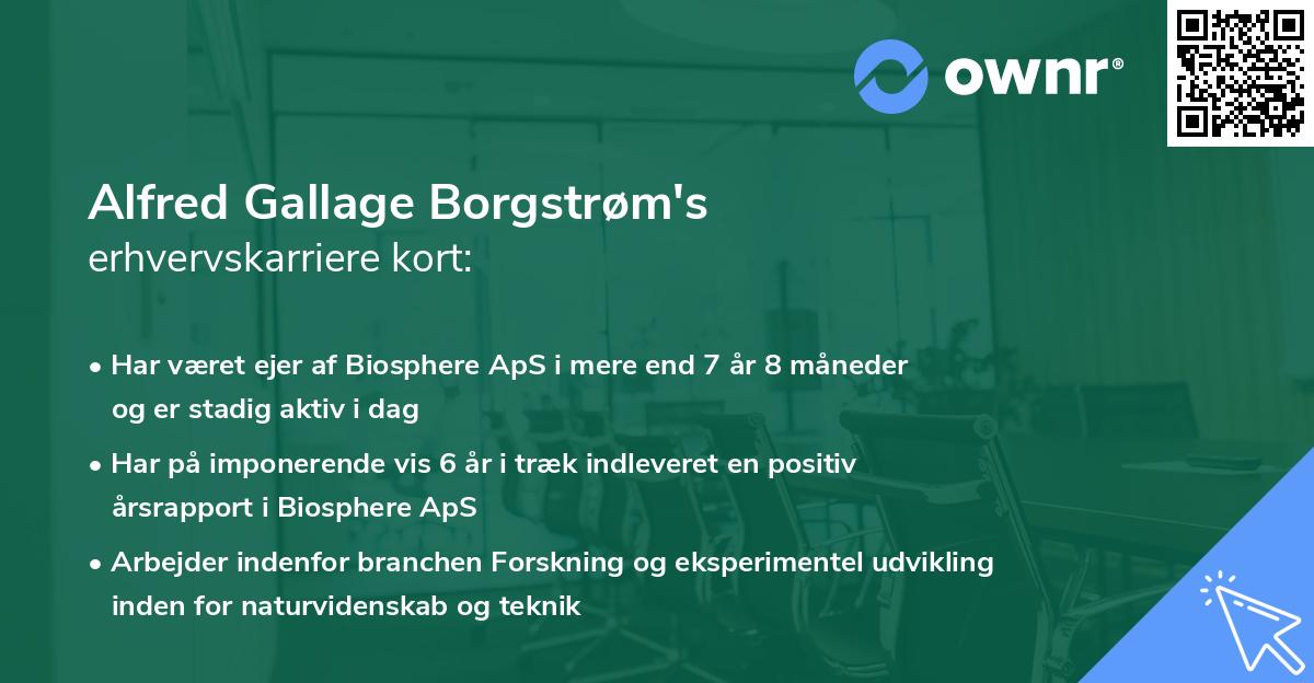 Alfred Gallage Borgstrøm's erhvervskarriere kort