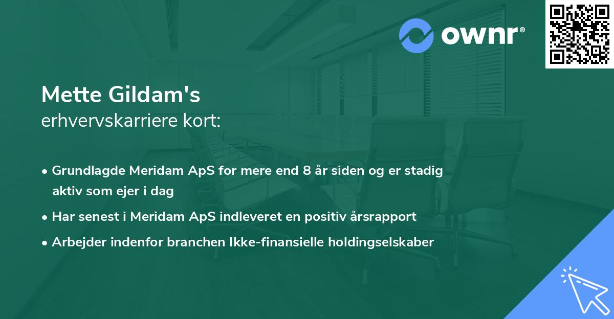 Mette Gildam's erhvervskarriere kort