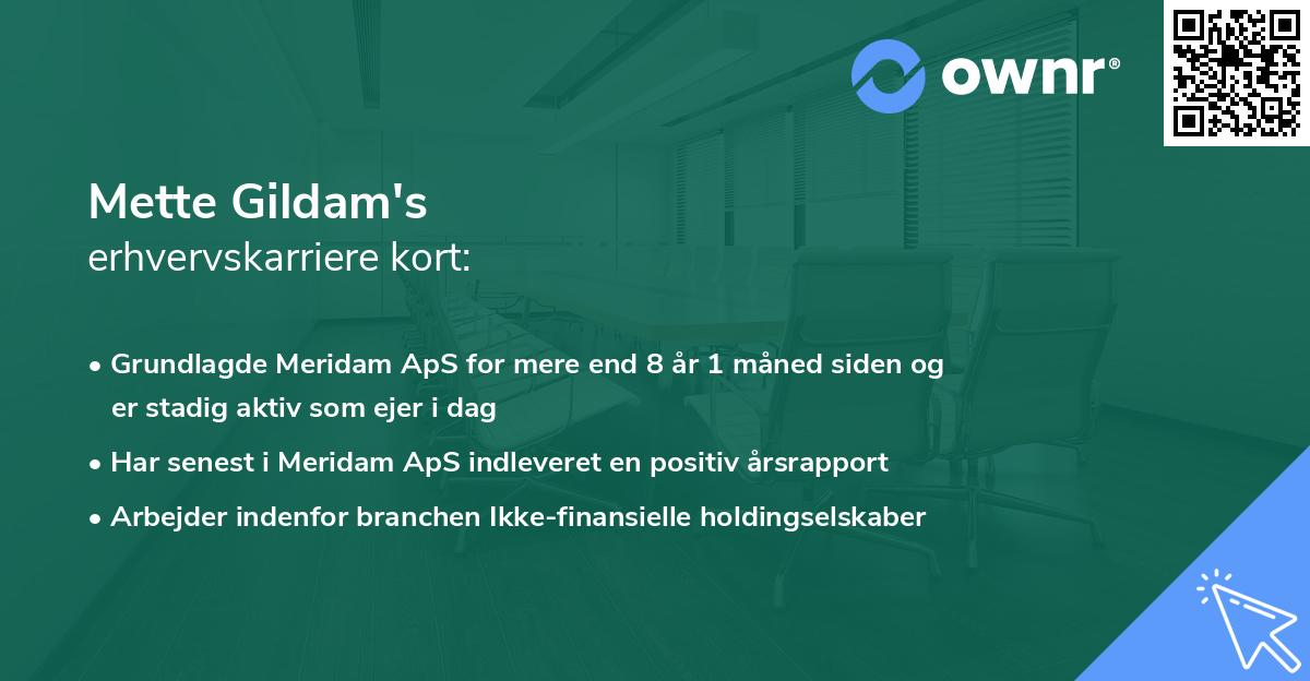 Mette Gildam's erhvervskarriere kort