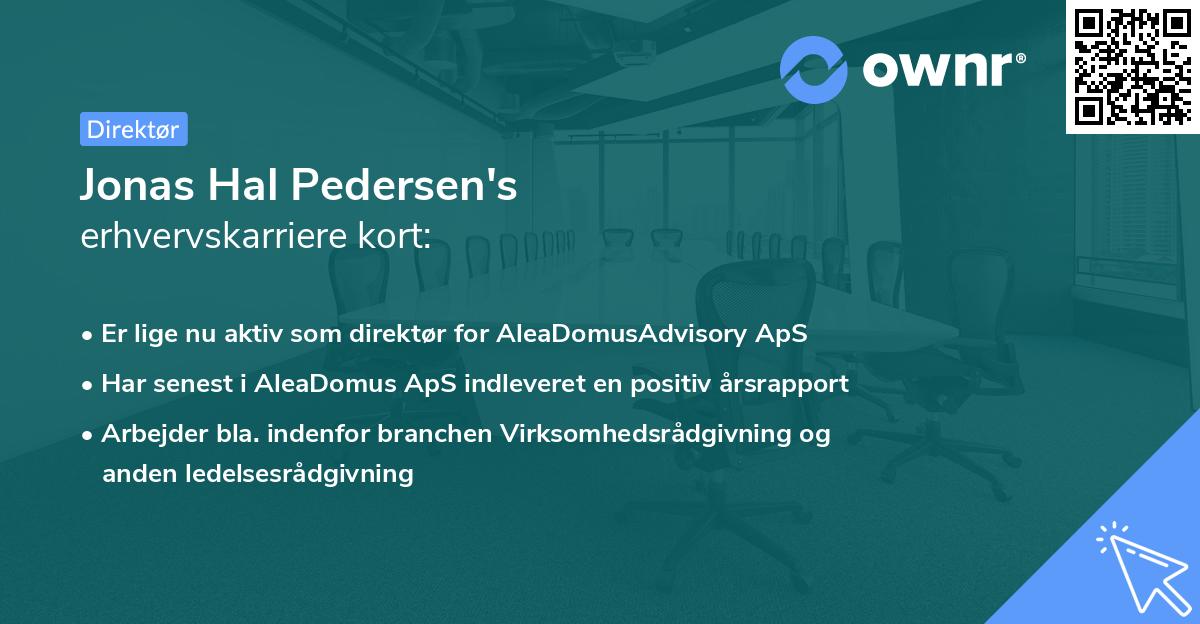 Jonas Hal Pedersen's erhvervskarriere kort