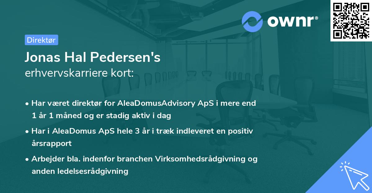 Jonas Hal Pedersen's erhvervskarriere kort