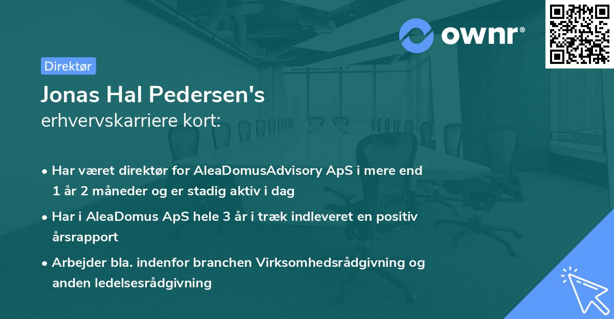 Jonas Hal Pedersen's erhvervskarriere kort