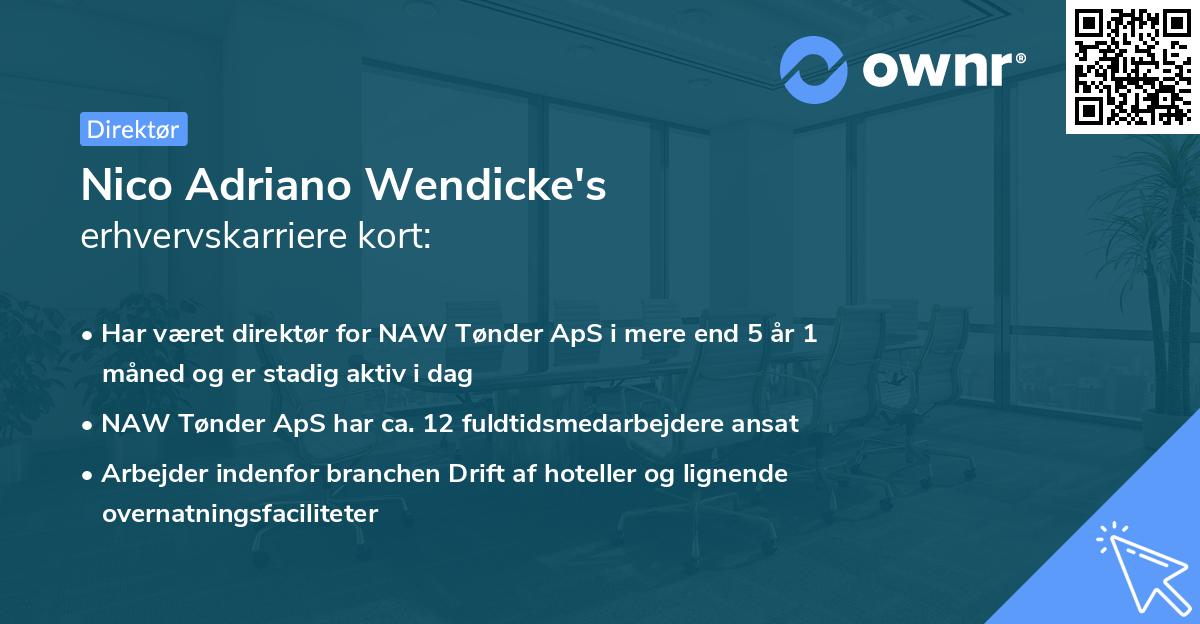 Nico Adriano Wendicke's erhvervskarriere kort