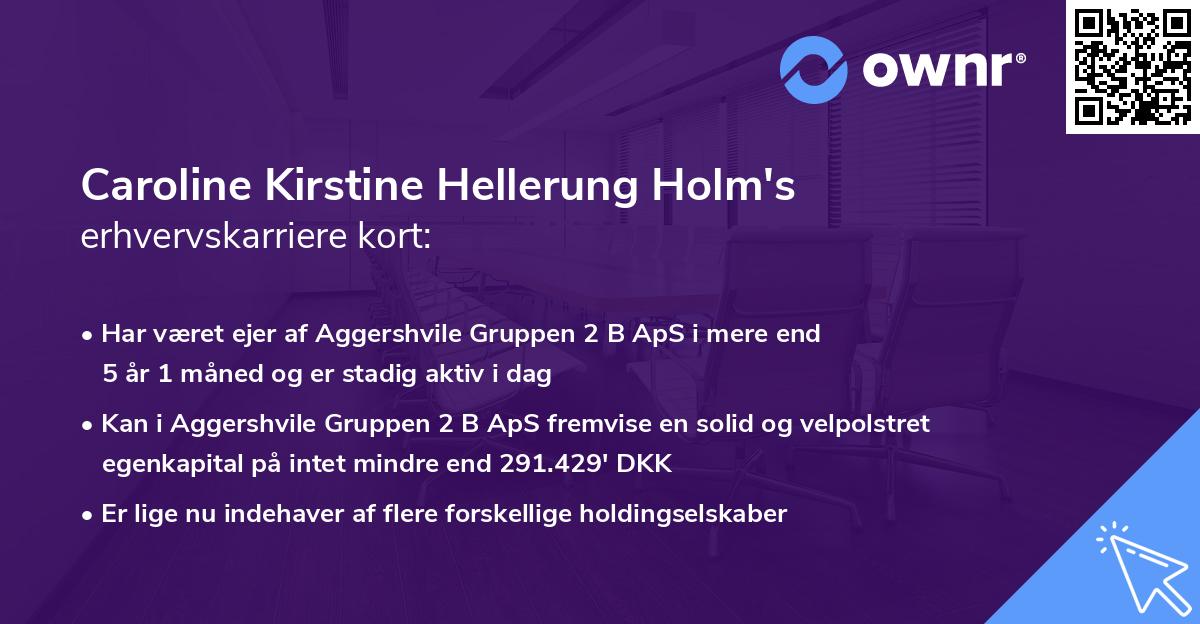 Caroline Kirstine Hellerung Holm's erhvervskarriere kort