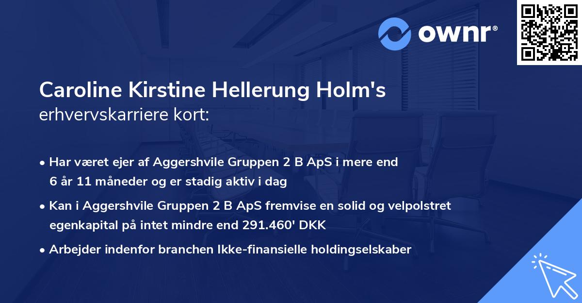 Caroline Kirstine Hellerung Holm's erhvervskarriere kort