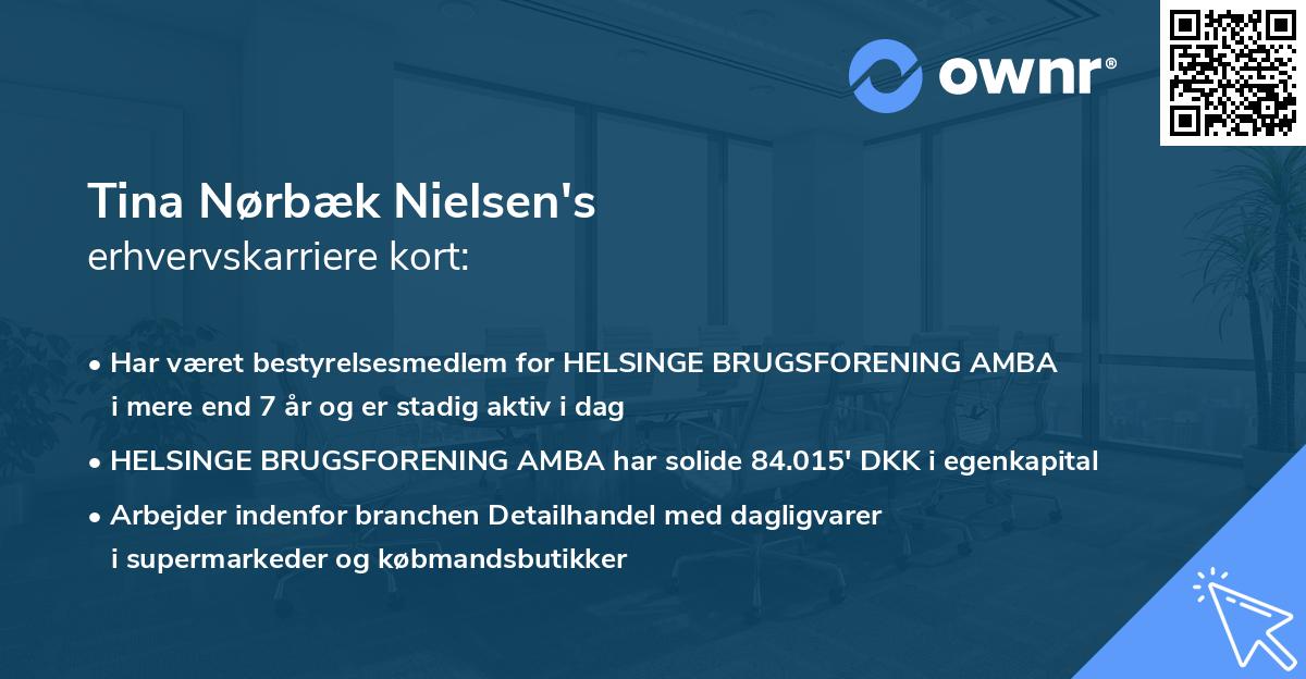 Tina Nørbæk Nielsen's erhvervskarriere kort