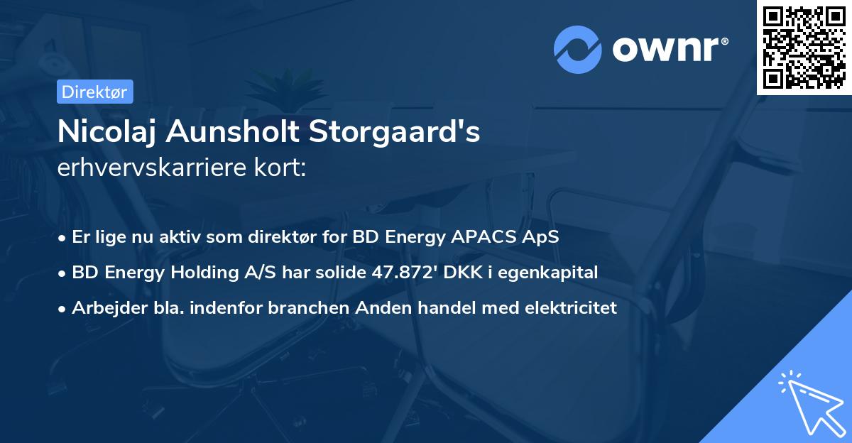 Nicolaj Aunsholt Storgaard's erhvervskarriere kort