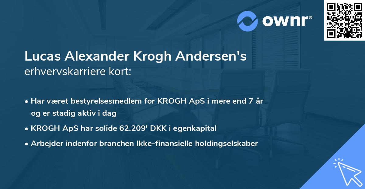 Lucas Alexander Krogh Andersen's erhvervskarriere kort