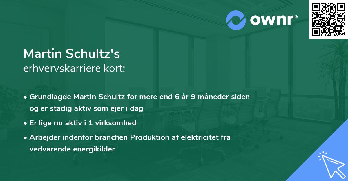 Martin Schultz's erhvervskarriere kort