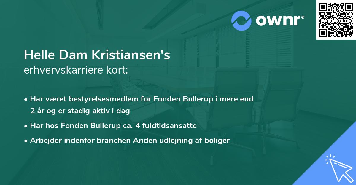 Helle Dam Kristiansen's erhvervskarriere kort