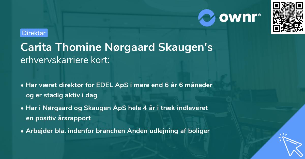 Carita Thomine Nørgaard Skaugen's erhvervskarriere kort