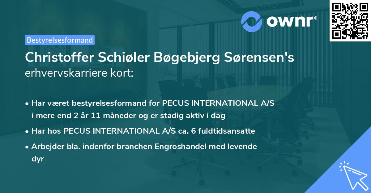 Christoffer Schiøler Bøgebjerg Sørensen's erhvervskarriere kort