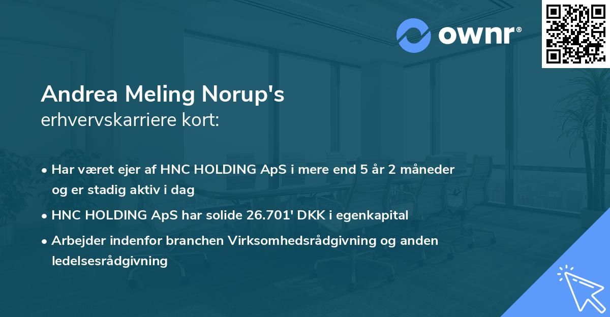 Andrea Meling Norup's erhvervskarriere kort