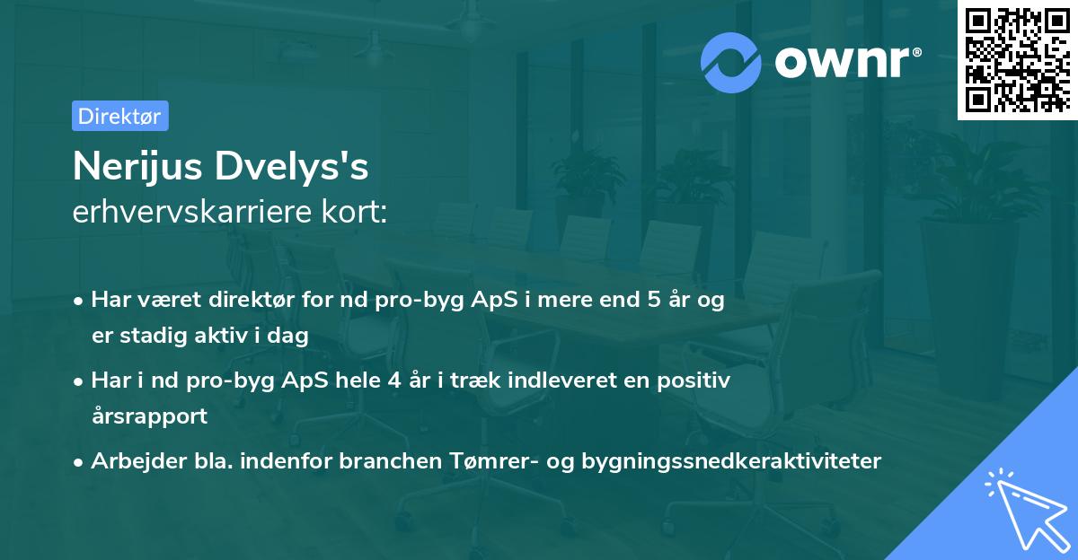 Nerijus Dvelys's erhvervskarriere kort