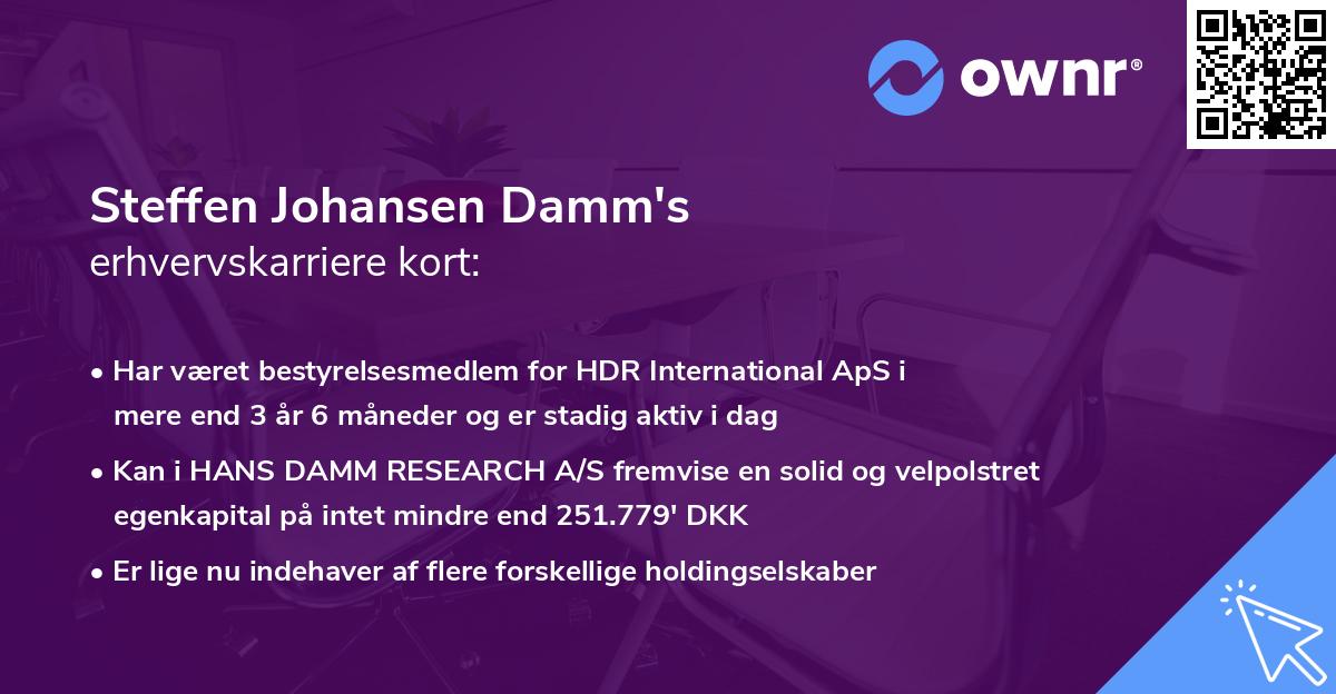 Steffen Johansen Damm's erhvervskarriere kort