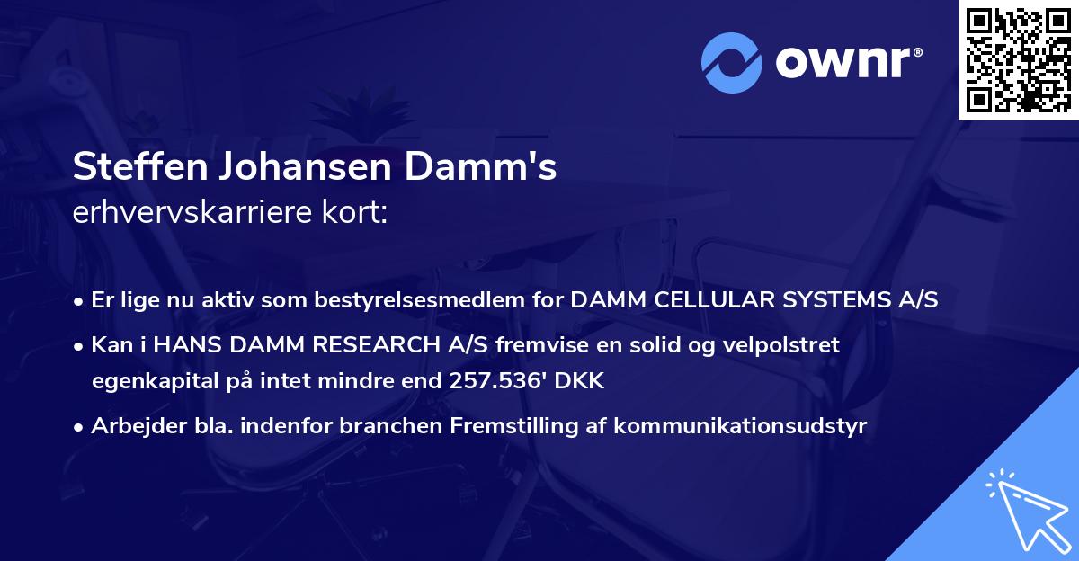 Steffen Johansen Damm's erhvervskarriere kort