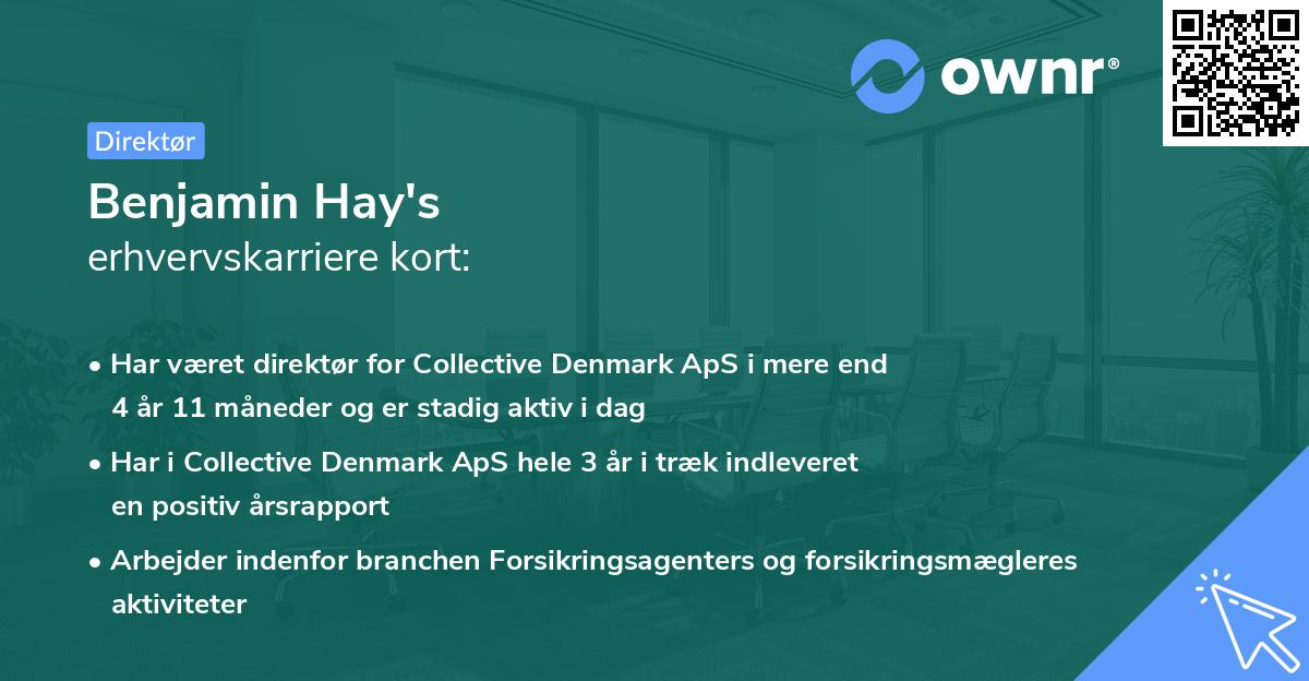 Benjamin Hay's erhvervskarriere kort
