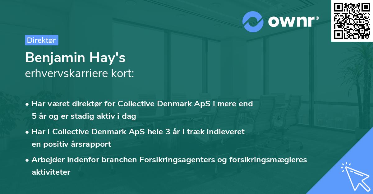 Benjamin Hay's erhvervskarriere kort