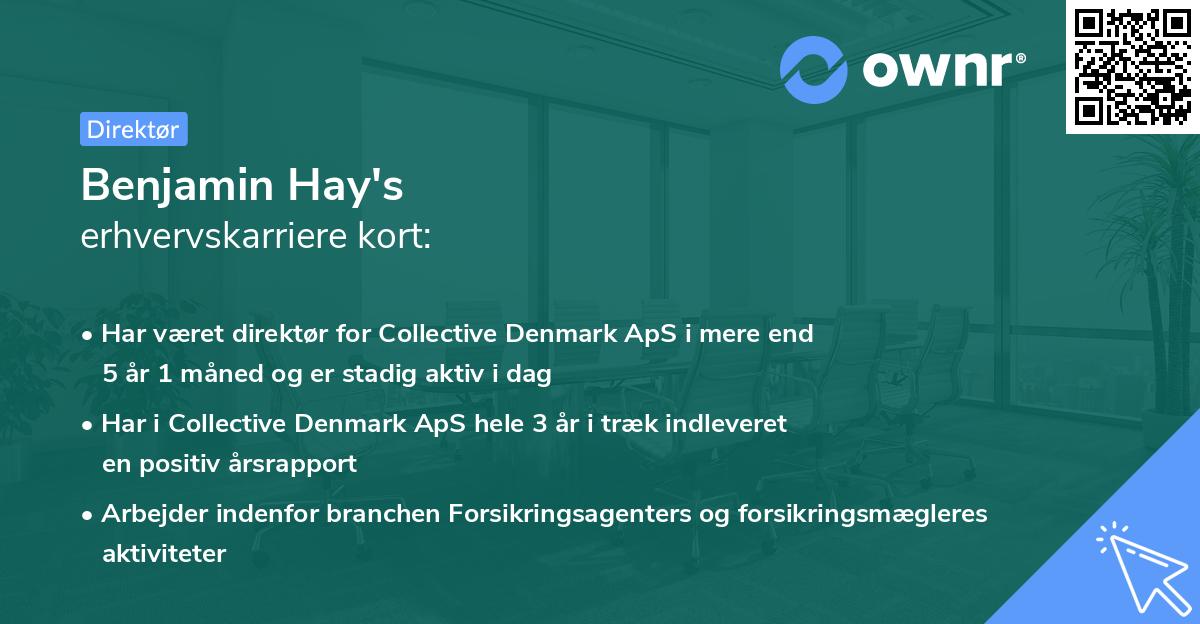 Benjamin Hay's erhvervskarriere kort