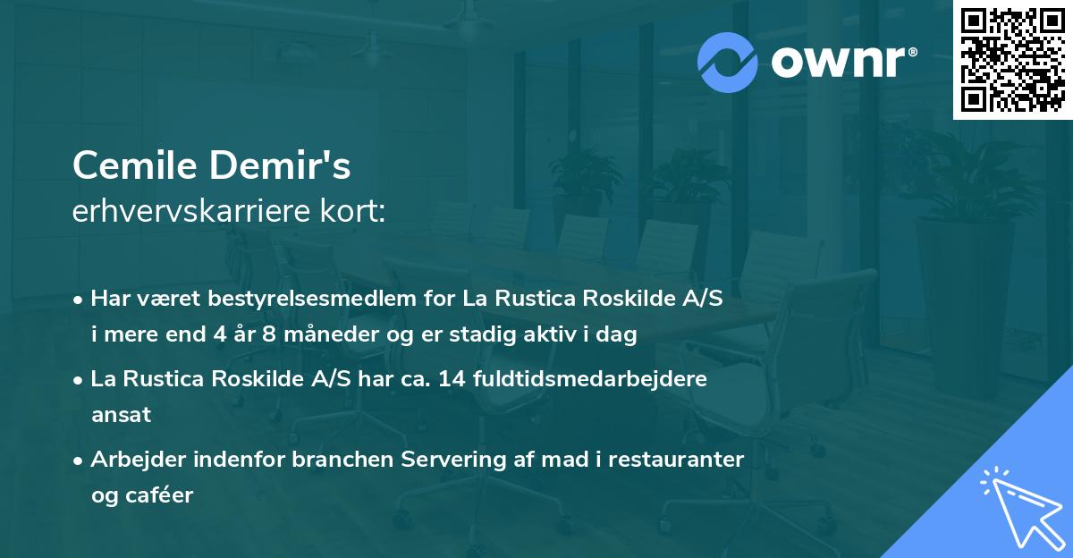 Cemile Demir's erhvervskarriere kort