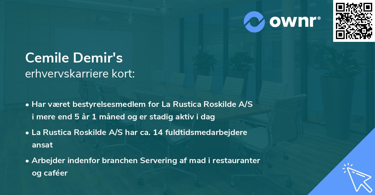 Cemile Demir's erhvervskarriere kort