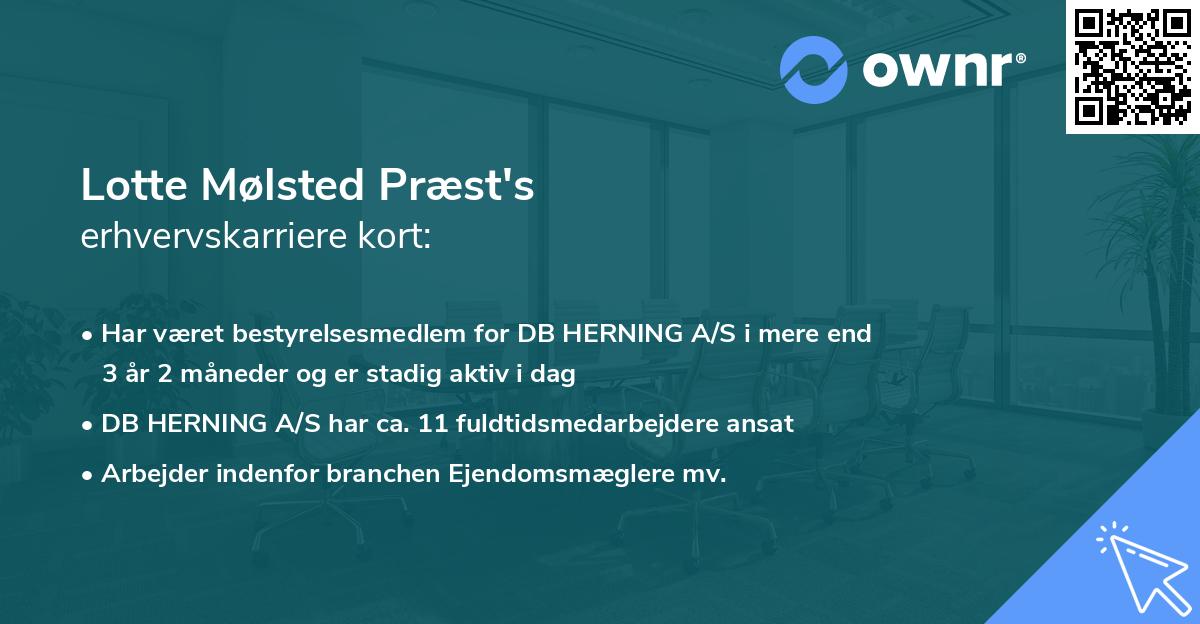 Lotte Mølsted Præst's erhvervskarriere kort