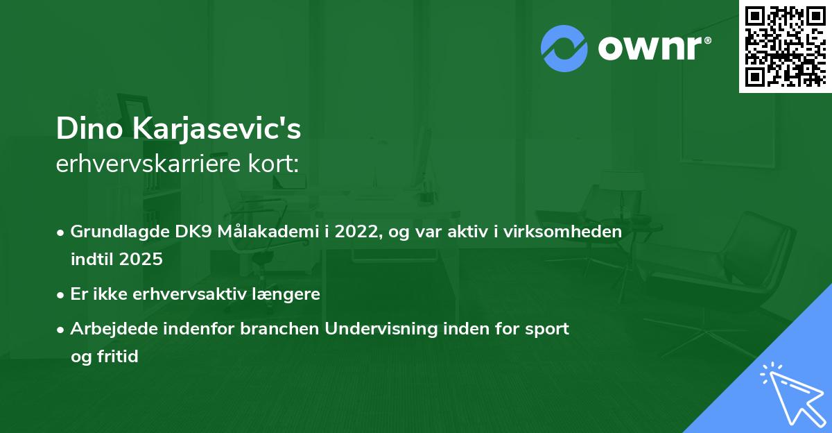 Dino Karjasevic's erhvervskarriere kort