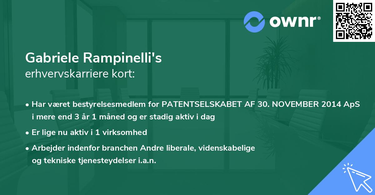 Gabriele Rampinelli's erhvervskarriere kort